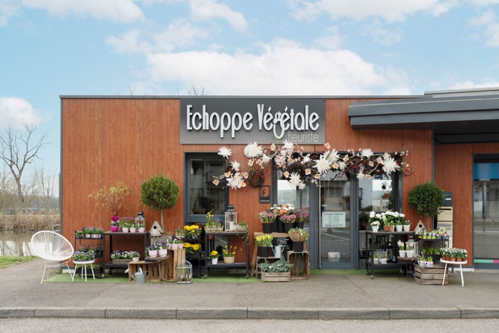 Échoppe Végétale _ Artisan fleuriste_ Messein en Lorraine _ Composition, fleurs et plantes _ Boutique