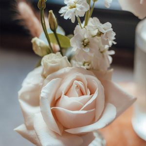Échoppe Végétale _ Artisan fleuriste_ Messein en Lorraine _ Composition, fleurs et plantes _ Mariage